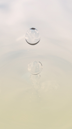 ヒアルロン酸