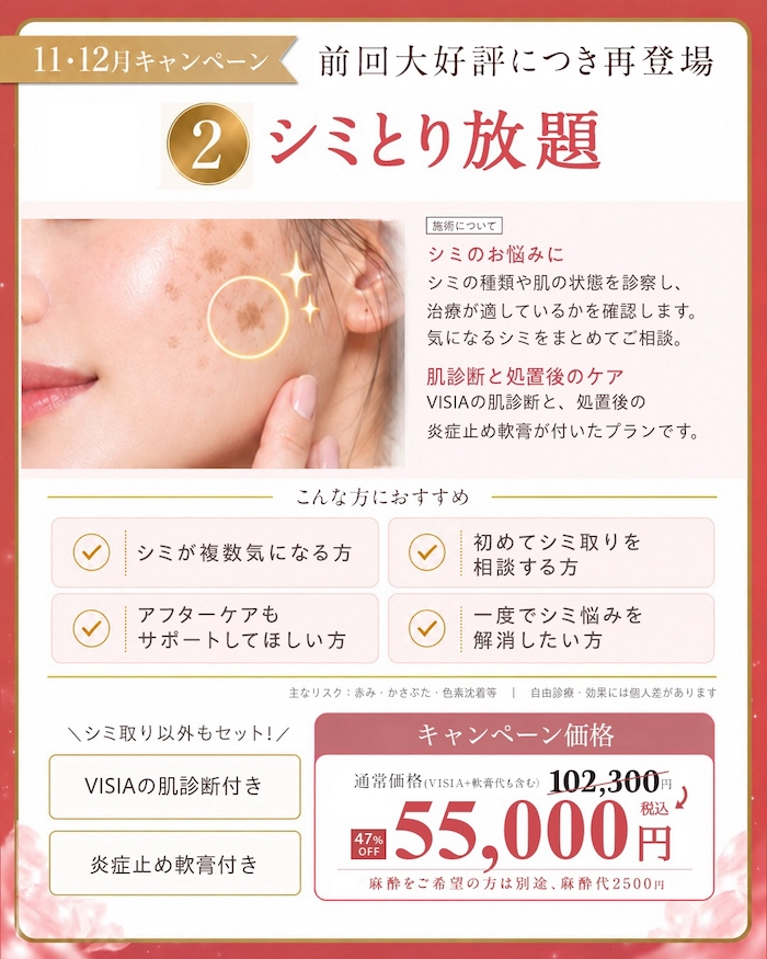 シミとり放題｜55,000円（税込）